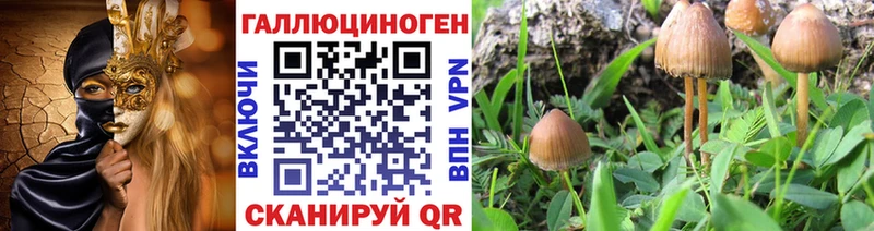 Галлюциногенные грибы мицелий  Унеча 