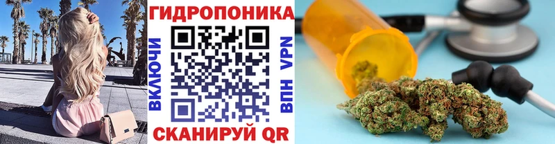 как найти   Унеча  МАРИХУАНА OG Kush 